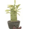 Jellycat Bamse - 30 Cm - Amuseable Potted Bamboo -doll accessories shop DU398